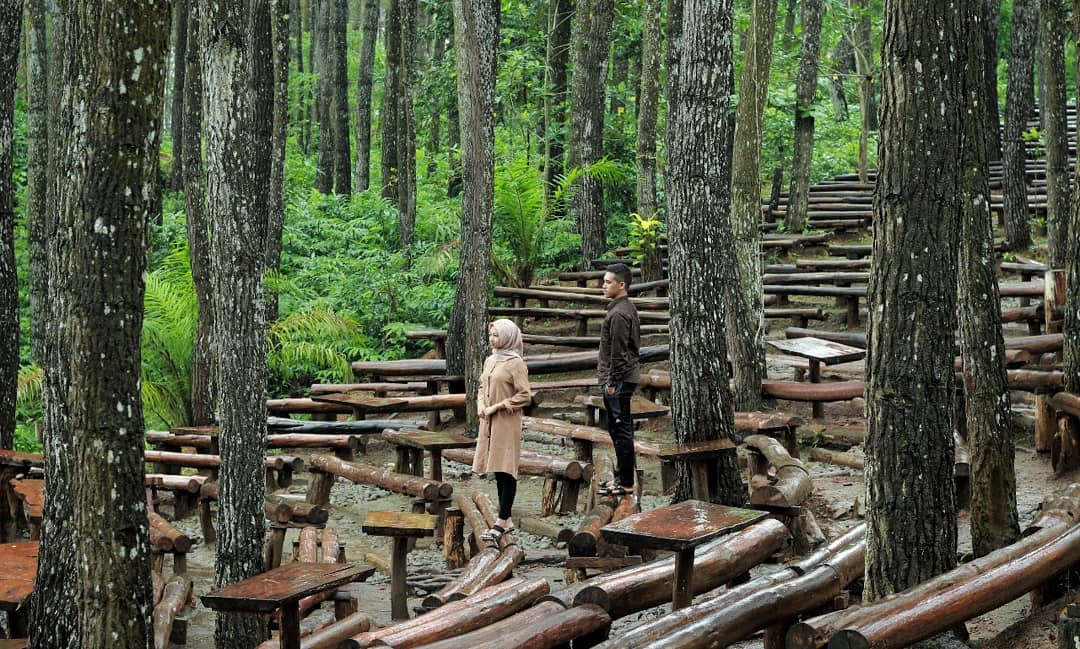 hutan pinus jogja dlingo