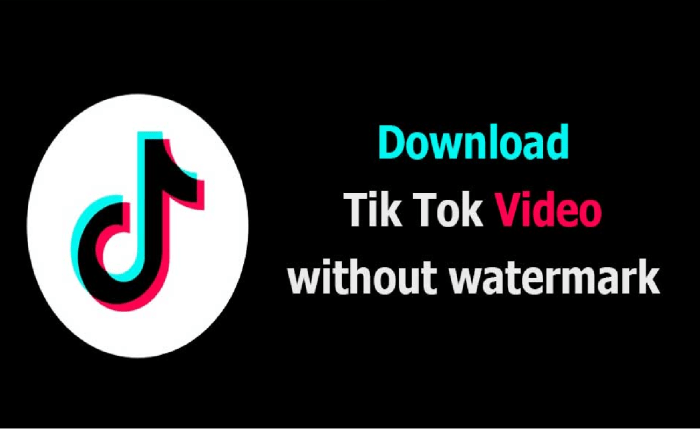 Download video bokeh TikTok tanpa watermark