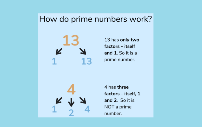 Prime program number check not given Cara mencari bilangan prima