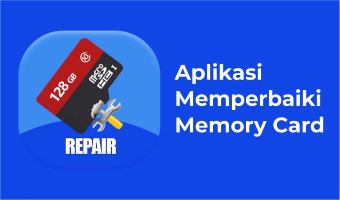 Recovery memory card software preview data Aplikasi memperbaiki memory card yang tidak terbaca