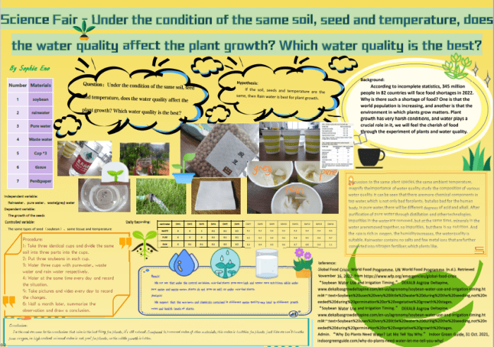 Transpiration Bagaimanakah cara untuk mengetahui pengaruh air terhadap pertumbuhan tanaman