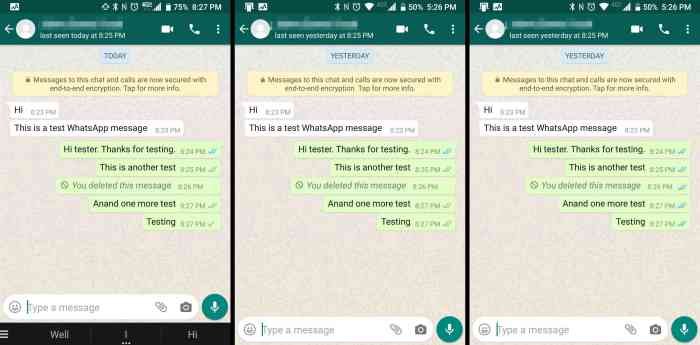 Marks messages checkmarks whatapp Cara membuat wa centang 1