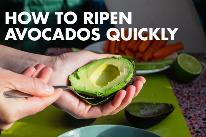 Avocado ripen avocados ripening food recipes way minutes healthy simplemost article just Cara agar alpukat cepat matang