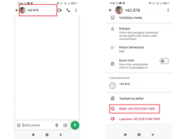 Hindari Spam dan Gangguan, Begini Cara Menyembunyikan Nomor WhatsApp Secara Praktis