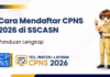 Cara Mendaftar CPNS 2026 Secara Online, Panduan Administrasi, Tahapan Seleksi, dan Syarat Pelamar