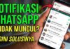 Notifikasi WhatsApp Hilang di Layar HP Meski Sudah Aktif? Ini Penyebab Teknis dan Cara Mengatasinya