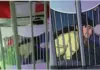 Terekam Kamera! Aksi Sejoli di Bianglala Sekaten Solo Bikin Warganet Geleng-Geleng Kepala Sekaten Solo, Bianglala Solo, video viral, sejoli Solo, pasangan viral, Sekaten 2026, Alun Alun, Solo viral, video Sekaten, netizen Solo