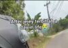 Di Balik Video Viral “A Day in My Life”, Ditemukan 20 Video Bebas Sejak Juli 2026 dan Aliran Uang